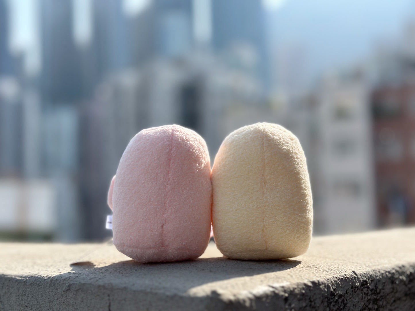 "Always Side by Side" Magnetic Plush Keyring