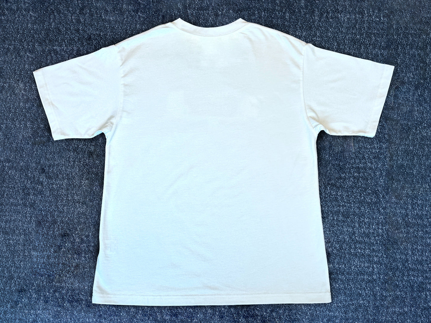 "Ups & Downs" Oversized Tee